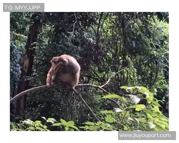 西昌姚明艳的魅力之旅探索美丽城市的文化与风情